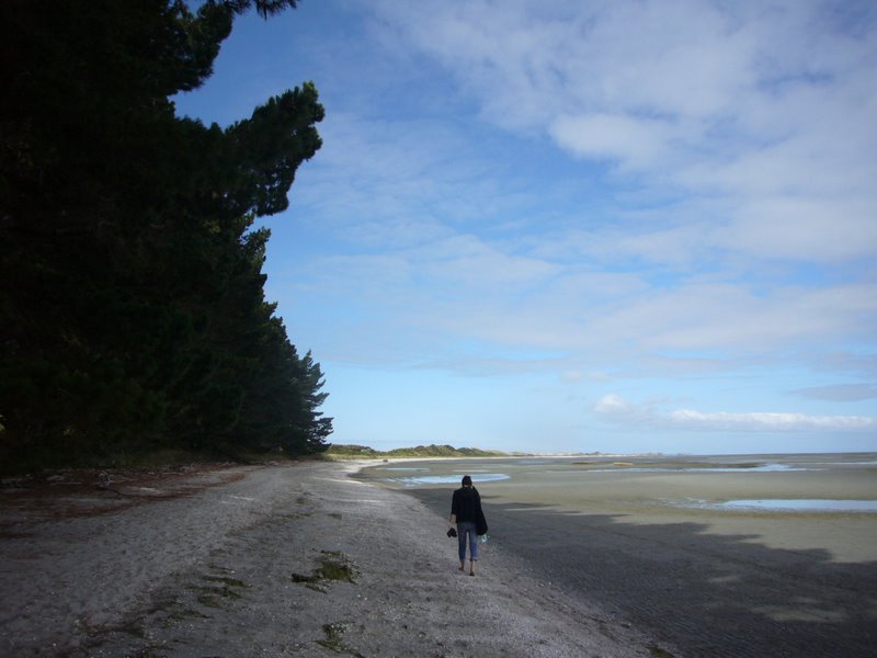 Travel - New Zealand - North West and Farewell Spit